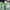 Koch-Chemie Green Star, 1 liter